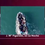 Figaredo (VOX) hunde con un sencillo ejemplo el argumentario del ‘lechero’ Fortes de por qué no se pueden devolver los cayucos