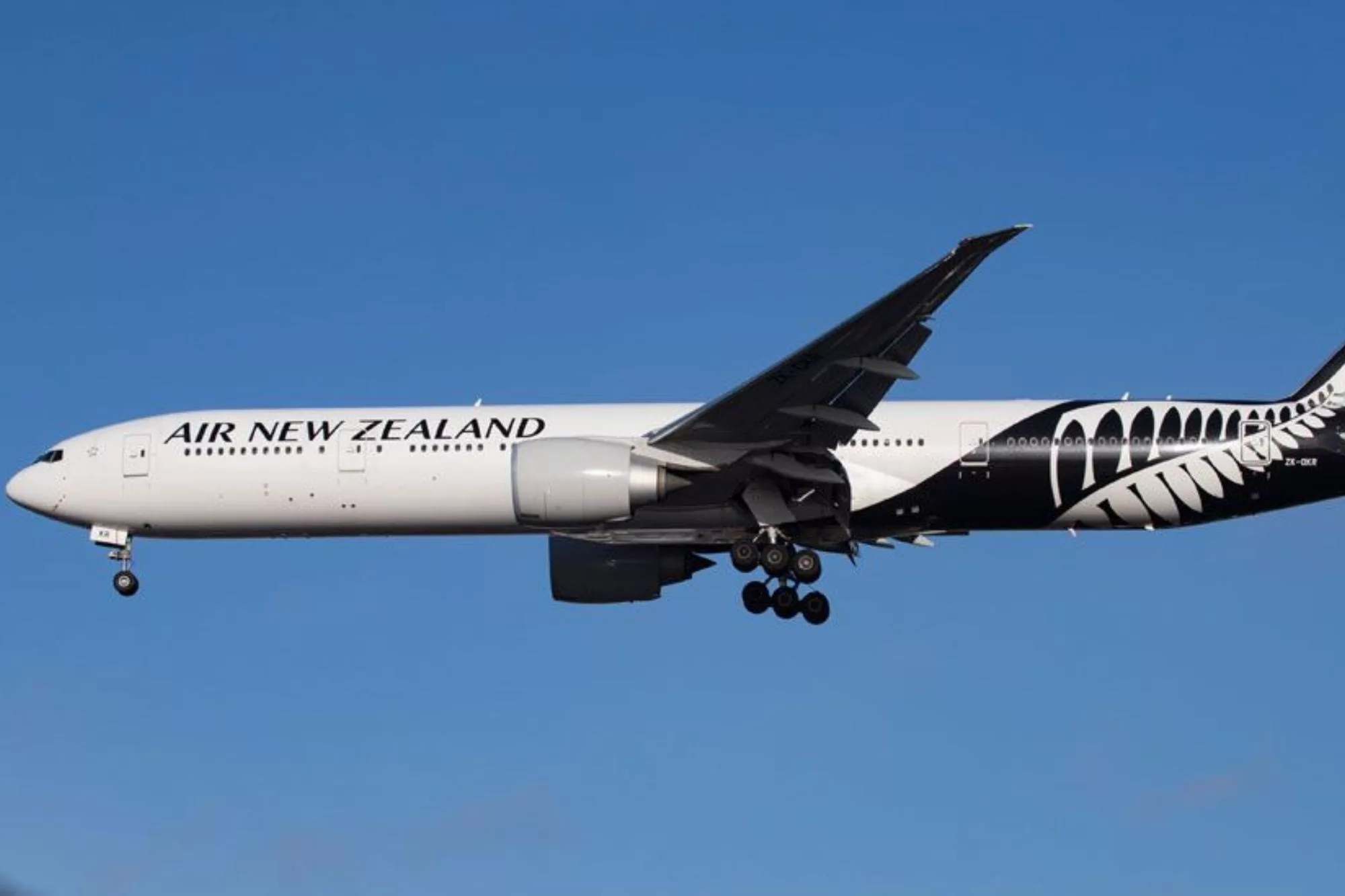 La empresa Air New Zealand (Foto: Archivo)