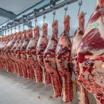 Negocio superior a US$500 millones: el Gobierno actualizó el régimen de las preciadas cuotas de carne a Europa y EE.UU.