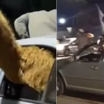 Denunciaron al agente penitenciario que llevó una llama adentro de un auto para festejar el triunfo de Argentina: qué sanciones podrían aplicarle