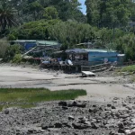 Pelea por un “Indiana Jones” del mar cerca de Punta del Este: “salva” animales, ocupa la playa y traficó pingüinos