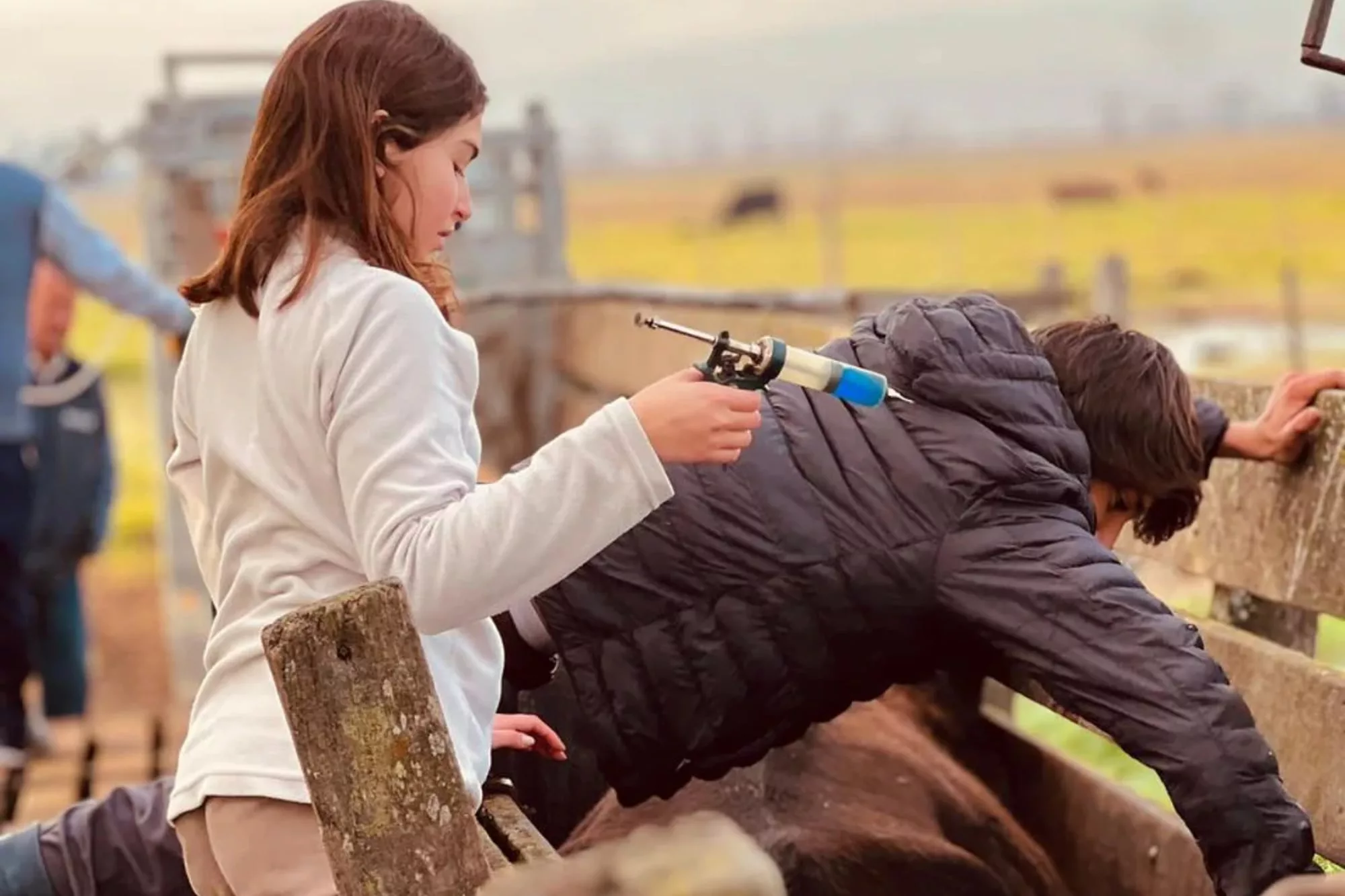Los alumnos realizan las tareas sin distinción de género 
