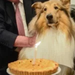 Murió Dylan, el perro de Alberto Fernández: “Seguramente volveremos a encontrarnos”