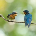 El lenguaje de los otros animales: Cómo la IA nos está ayudando a entender la comunicación en otras especies