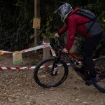 Cataluña pide ayuda a la UME para controlar el brote de peste porcina africana en Collserola