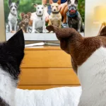 Más mascotas que hijos: el fenómeno que cambió la lógica de las empresas y que ya mueve más de US$ 300 millones al año