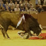 Roca Rey corta su temporada en España para recuperarse de sus lesiones