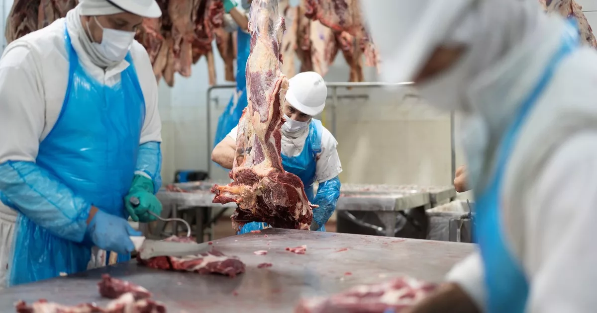 Reforma laboral e indemnizaciones: limitan el reclamo judicial de los trabajadores despedidos