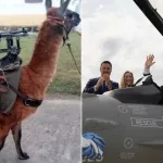 Santilli celebró la llegada de los F-16 con un irónico mensaje contra el kirchnerismo: “Pasamos de incorporar llamas metralletas a aviones de combate”