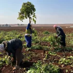 Siria celebra un año sin la dictadura de El Asad entre la ilusión y la inquietud