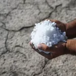 Qué es la intrusión salina y qué efectos puede tener en la economía y nuestra salud