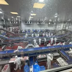 Inversiones millonarias: construyeron el imperio porcino más grande del país con 13.000 madres