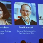 Entregan el Nobel de Medicina a dos científicos estadounidenses y uno japonés por estudios sobre tolerancia inmunológica periférica