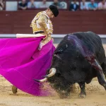 “¡Viva España…, pero no la casta!”