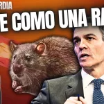 DIRECTO/ ¡Sánchez huye como una rata de los periodistas, del Rey y del pueblo!