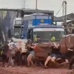 Misiones: una camioneta perdió el control y chocó al público durante una exhibición en un trompódromo