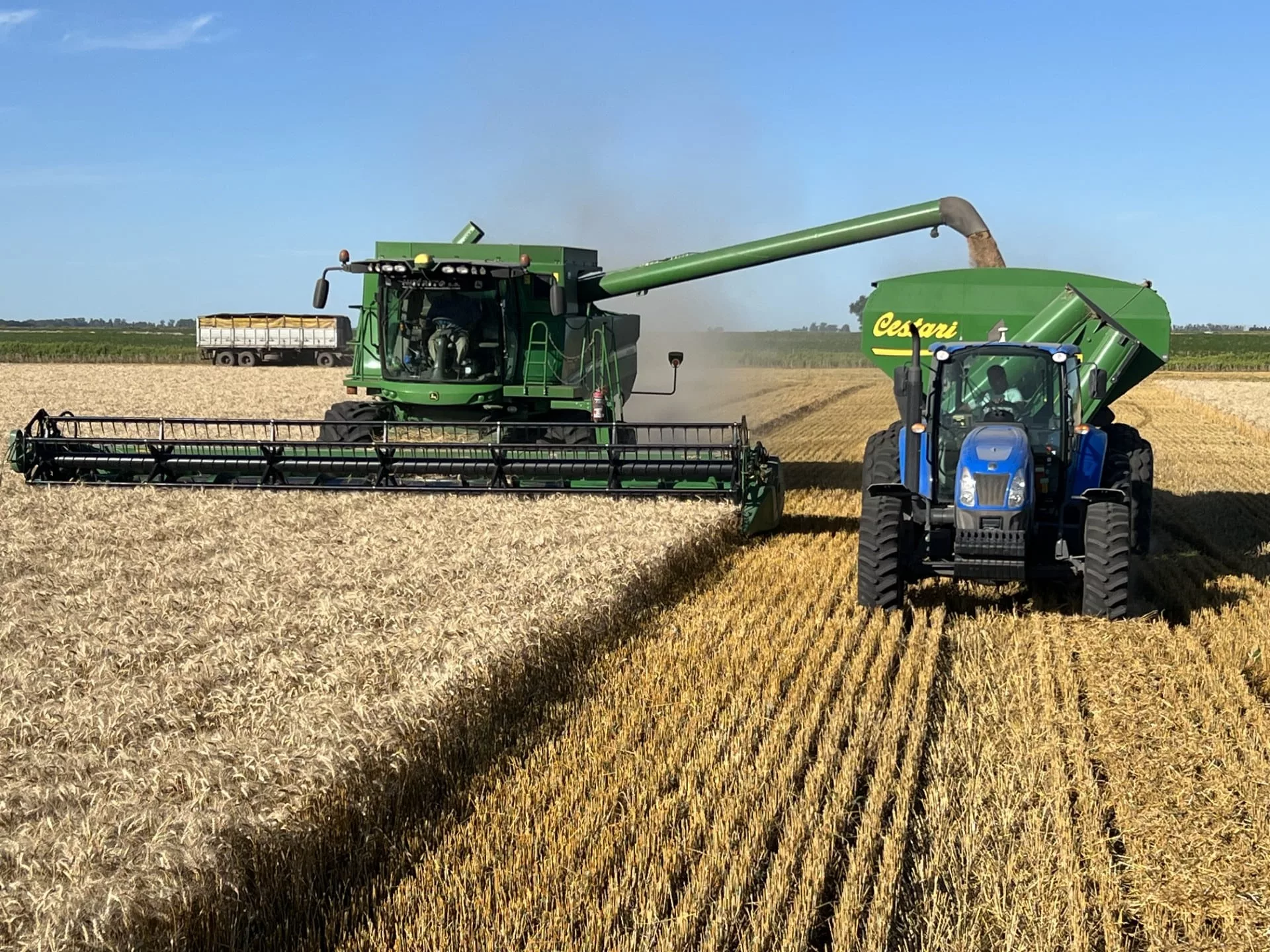 La entidad señaló que “debe señalarse que, en este contexto de grandes rindes, opera una menor presencia de contenido proteico en el cereal cosechado”, y que durante la semana previa “se registraron las primeras anotaciones con valores de 10,5%”