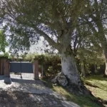 Investigan la misteriosa muerte de una mujer en Villa Elisa: la encontraron con la cabeza dentro de un pozo en el patio de su casa