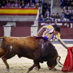 Áspera mansada en Las Ventas