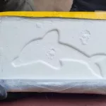 Mostaza blanca: detuvieron a dos mujeres con más de 20 kilos de cocaína con el famoso sello del delfín y envueltos con aderezo
