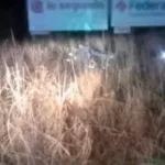 Volvían de una fiesta y volcaron: dos jóvenes murieron y otros cuatro terminaron internados con heridas
