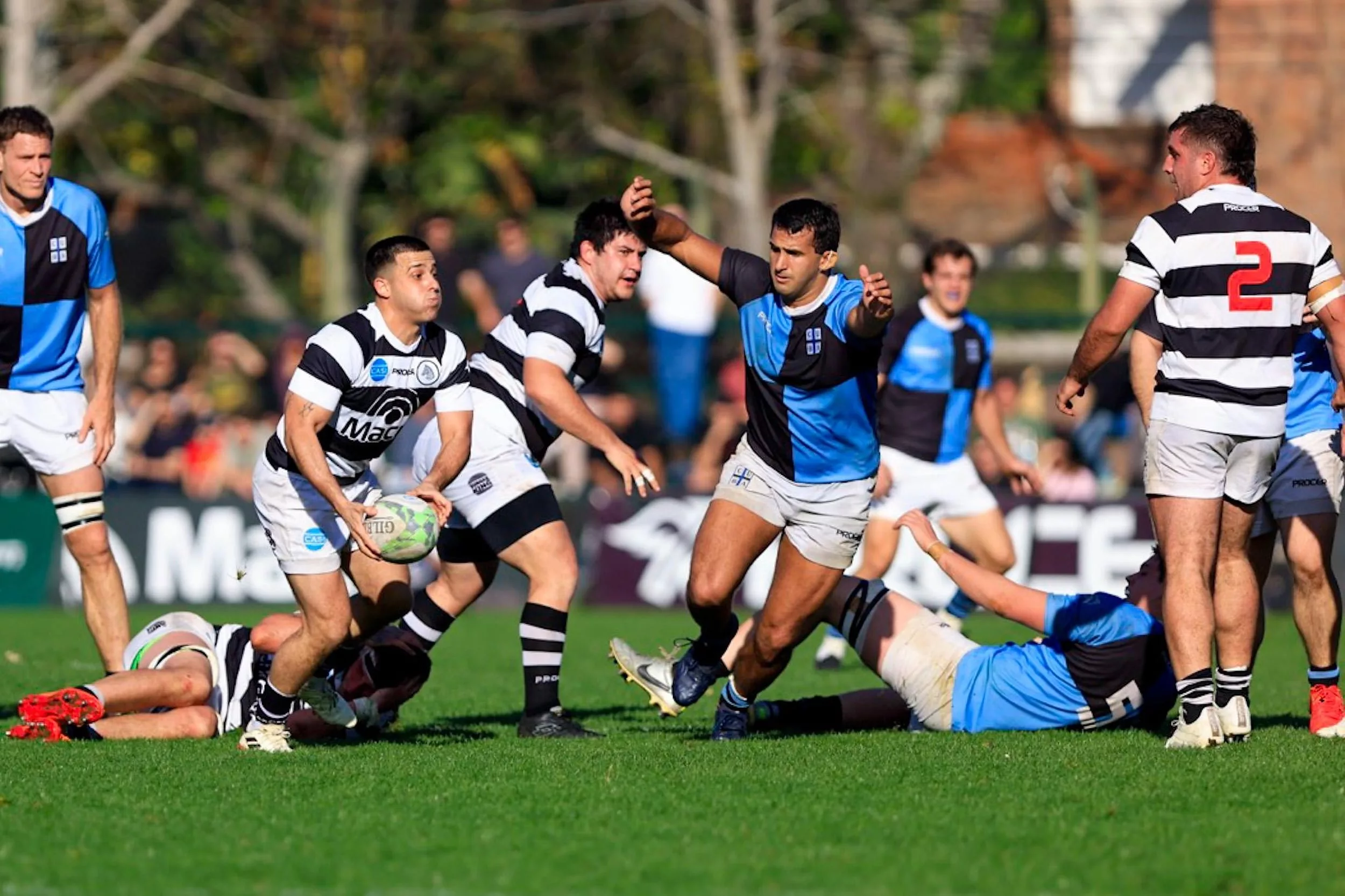 CUBA y CASI, que está puntero, sostendrán un clásico del rugby de Buenos Aires, por el Top 14.