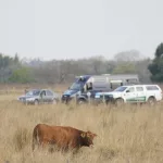 Caso Loan: la conclusión que arrojó la inspección ocular de seis horas que hicieron en el campo donde desapareció el nene