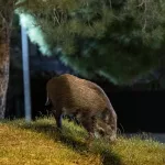 Los camioneros exigen disculpas a la Generalitat por la “teoría del bocadillo”