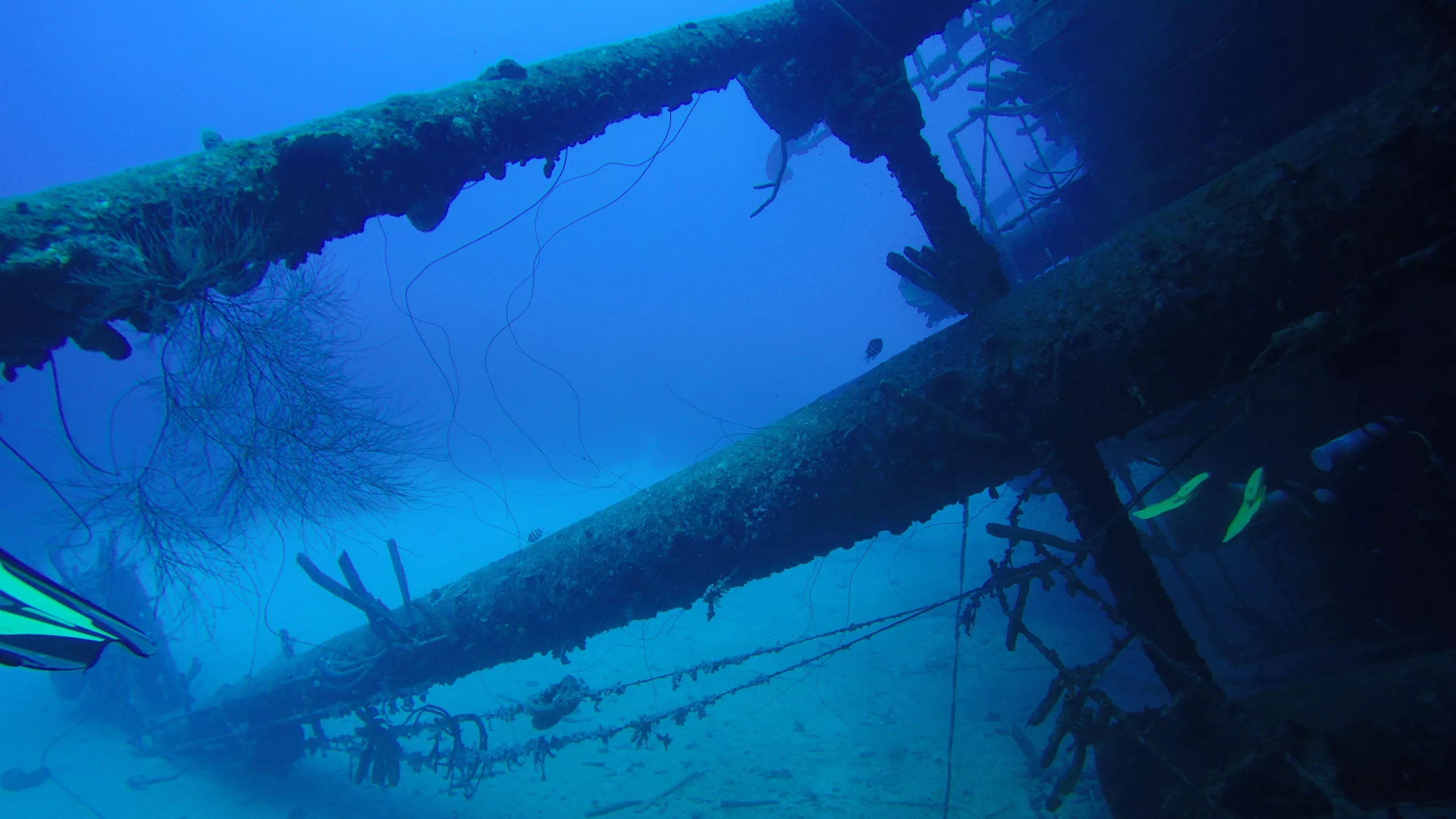 Los pecios son el testamento de un instante fatal donde el tiempo se detuvo para siempre