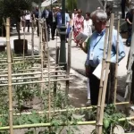 Así es el huerto que Sánchez se ha hecho montar en Moncloa y donde el marido de Begoña ‘cosecha’ zanahorias, fresas y calabacines