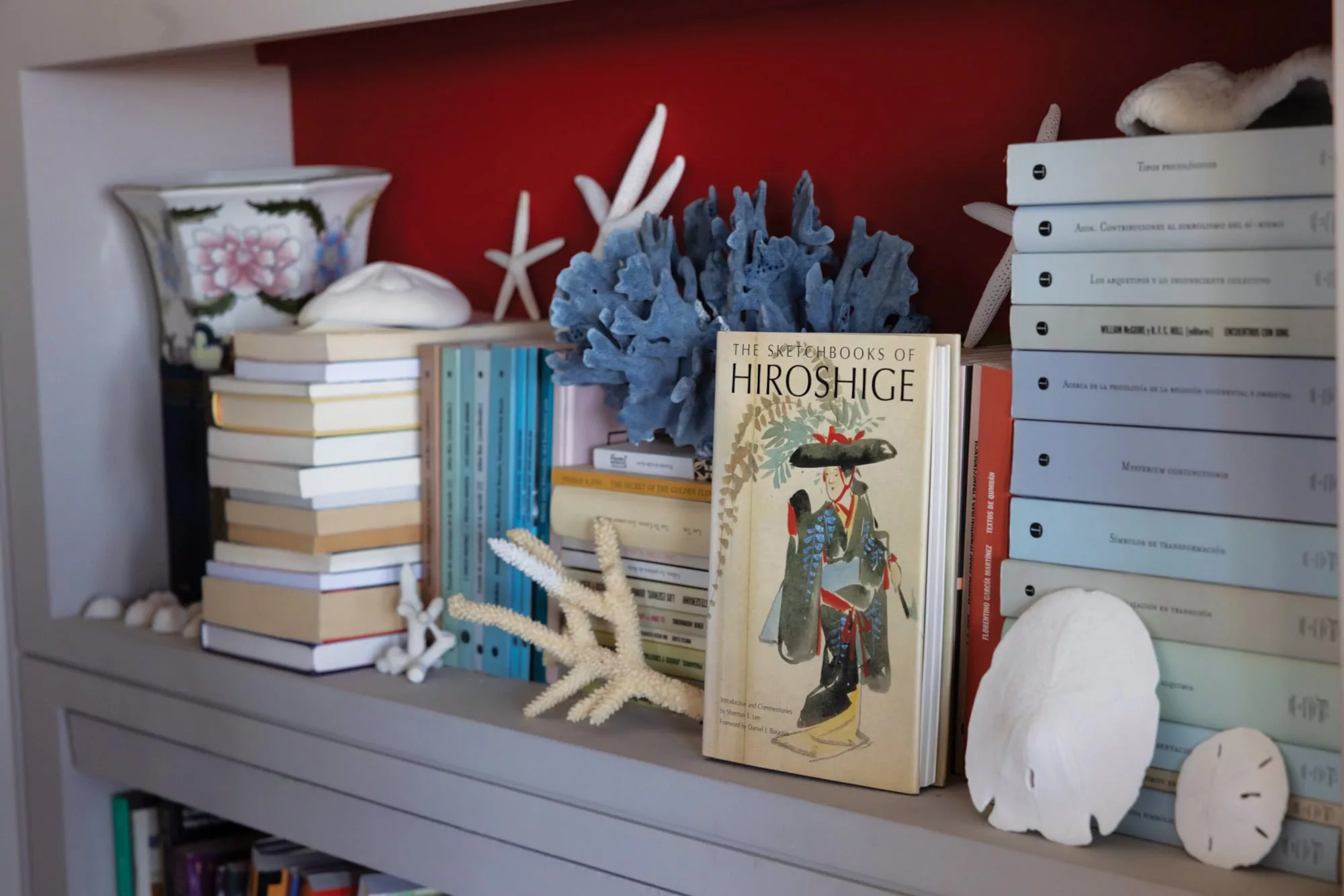 Libros, corales, estrellas de mar y piedras, algunos de los objetos preciados de Soledad 
