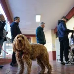 Clima hoy en las elecciones 2025: cómo estará el tiempo en el AMBA y la buena noticia que trae el mapa de alertas este domingo 26 de octubre