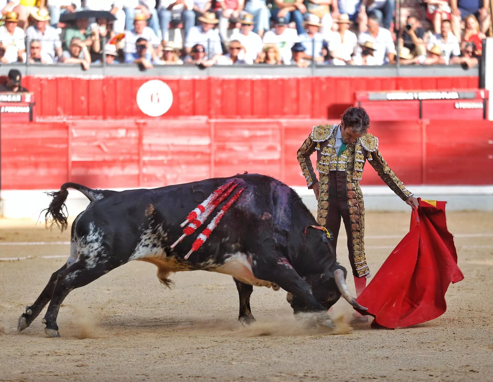 José Tomás, el torero que mejor torea, según Ilián, en Jaén en 2022.