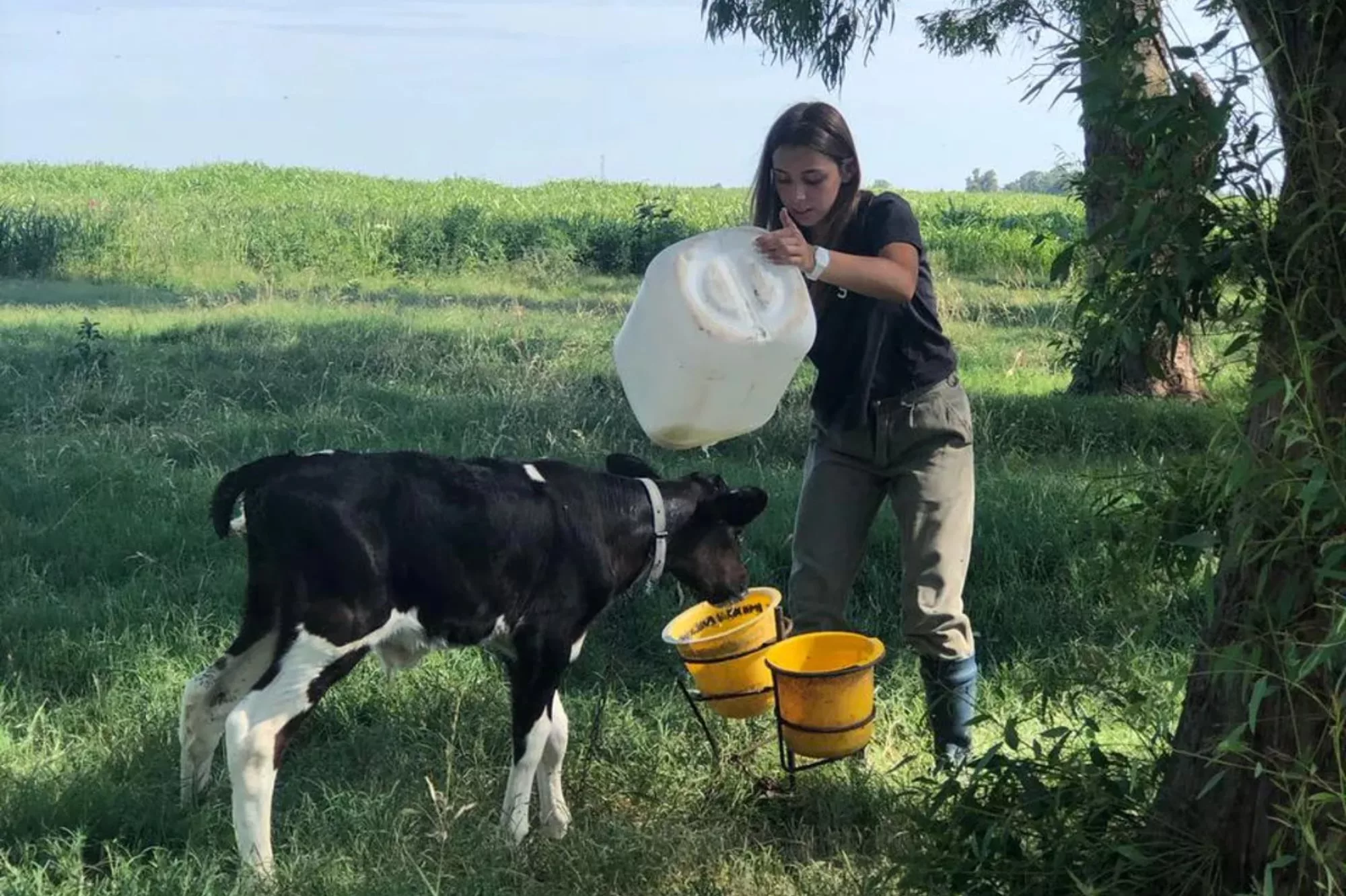 Las mujeres realizan las mismas tareas que los varones 