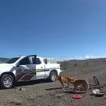 Los encontraron atados a una bicicleta en el desierto, los rescataron y ahora esperan ser adoptados