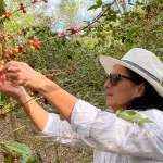 Una emprendedora revivió un cultivo de café abandonado en la selva, el primero argentino, y ya lo vende al público
