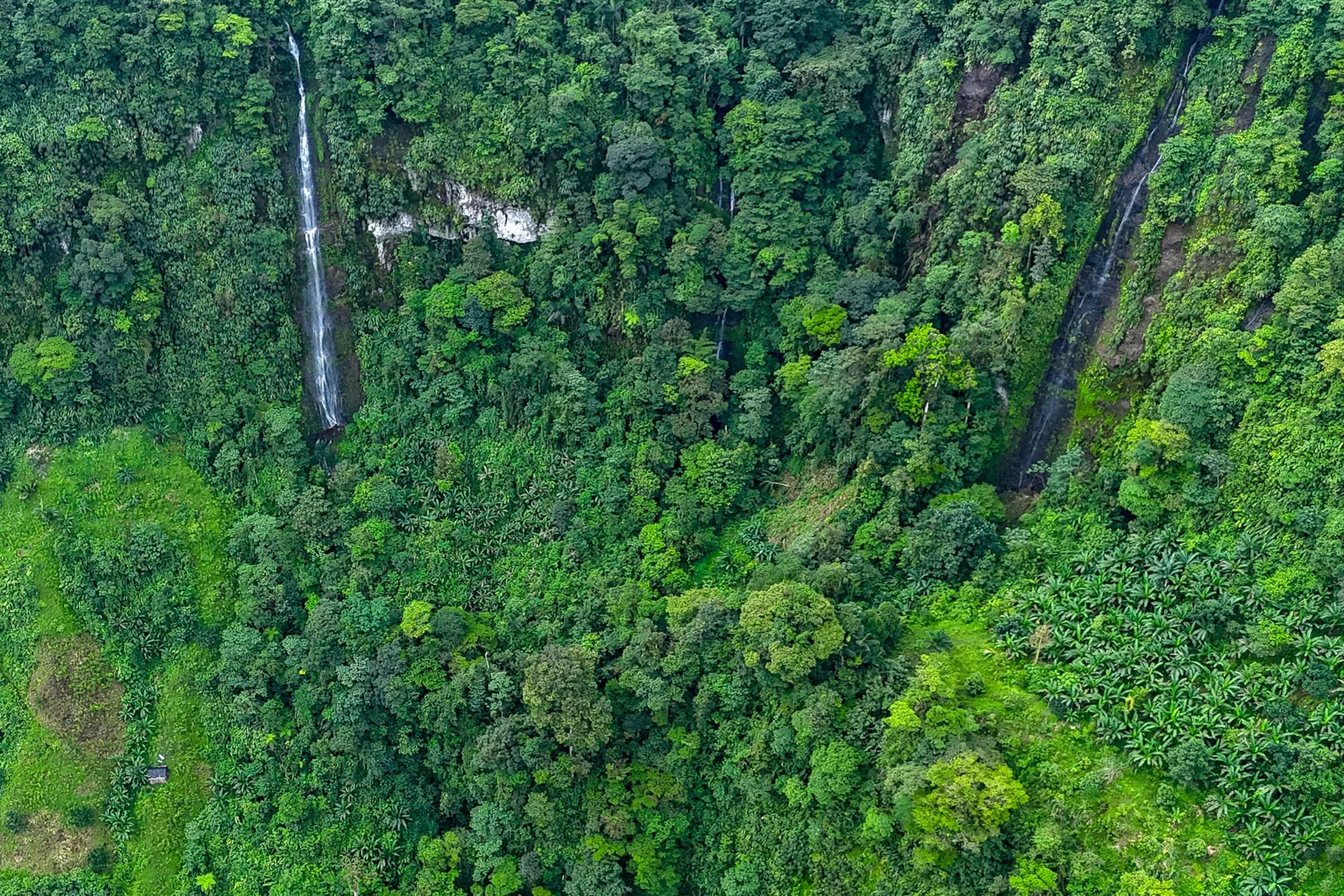 El último caso similar que se había registrado, había incluido a cuatro niños rescatados tras sobrevivir 40 días en la selva del Amazonas (Foto por JOAQUIN SARMIENTO / AFP)