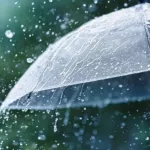Cinco alimentos que refuerzan las defensas en tiempos de lluvia y ayudan a evitar enfermedades, según expertos
