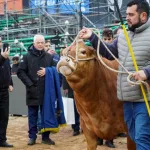 Una vida ligada a una raza francesa y a mostrar su genética en Palermo