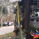 El video de un brutal choque en Berisso: un colectivo impactó a un auto que frenó de golpe y se incrustó contra un árbol