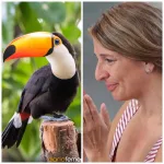 La última animalada de Yolanda Díaz no tiene precio: La de Sumar propone incluir mascotas en las listas de víctimas de la DANA