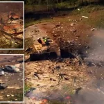Bestial explosión en una fábrica de municiones en Tennessee: 19 desaparecidos
