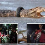 Este valiente salva la vida a un cocodrilo que llevaba seis años atrapado en un neumático