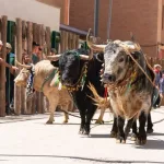 Muere corneado el ganadero Santiago Barrero San Román durante la celebración de los toros ensogados en Beas de Segura (Jaén)
