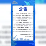 China: un oso negro se abalanzó sobre su cuidador por una bolsa de comida y lo atacó frente a cientos de personas