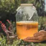 El “oro líquido” que equilibra la microbiota y mejora la salud digestiva