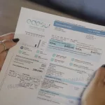 Milei insiste con un perdón de deudas cruzadas con Edenor y Edesur y garantiza a la energía renovable que no habrá “impuesto al viento”