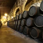 Eficiencia y seguridad: claves en la logística moderna de bodegas