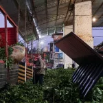 En marzo las exportaciones de yerba mate dieron otro salto pese al conflicto en Medio Oriente