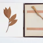 La corona mortuoria de Fortuny yacía entre papeles en el archivo del MNAC